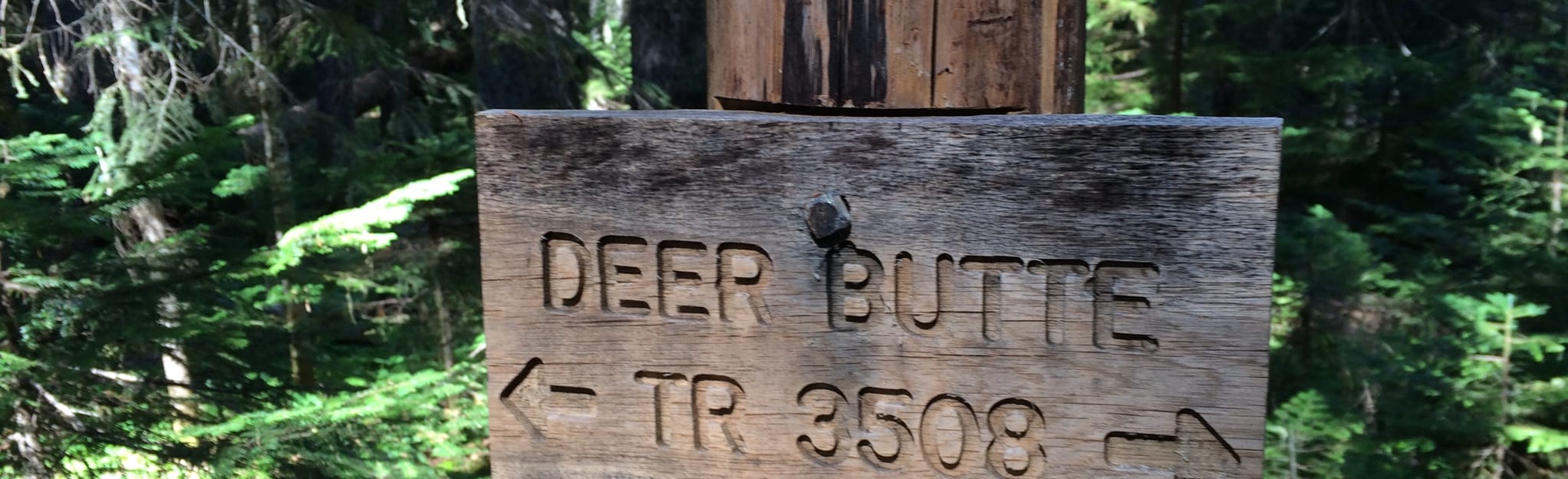 Deer Butte Trail, Oregon 8 Reviews, Map AllTrails