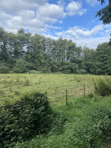 Elsebad Rundweg A7