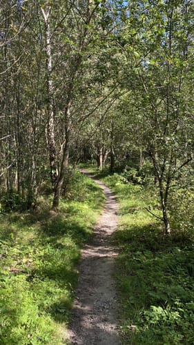 Nieste Rundwanderweg