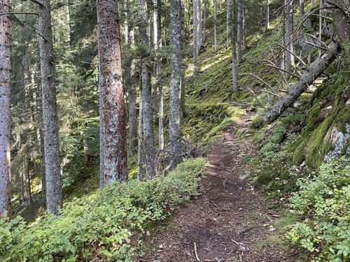 Rappenfelsensteig (Genießerpfad)