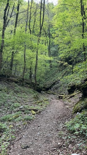 Löwenpfad Geislinger Felsentour