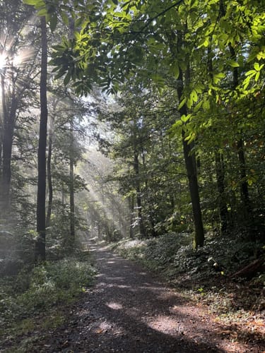 Um den Hardtberg und zum Hardtbergturm