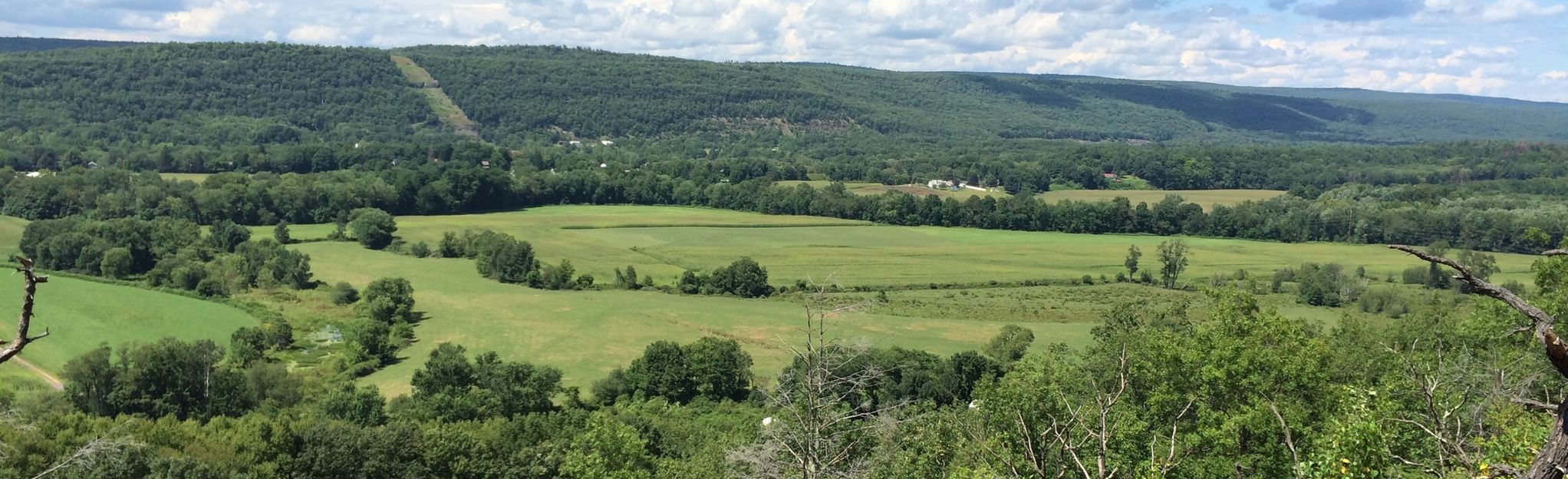 Lenape Ridge and Minisink Trail Loop | Map, Guide - New York | AllTrails