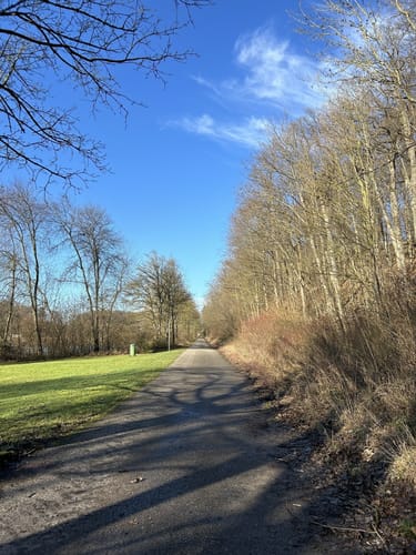 ZA2 Seenweg - Wanderdreiklang Zaberfeld