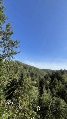Albsteig Schwarzwald Etappe 1: Albbruck – Görwihl