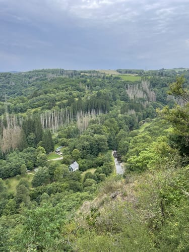 Nohener Naheschleife (Premiumwanderweg)