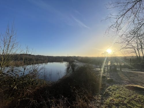 Dorperheide - Klein Vink - Walbeck
