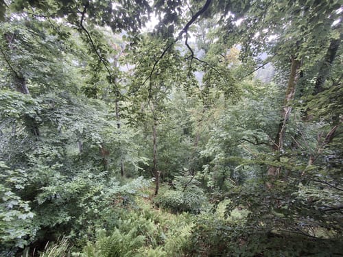 Hüttenberg und Düstertal ab Wiesenbeker Teich