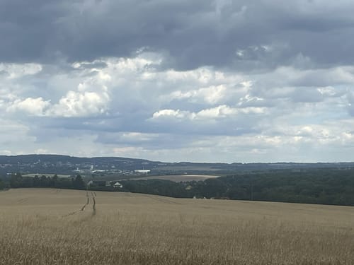 53. Glauchauer Wandertag