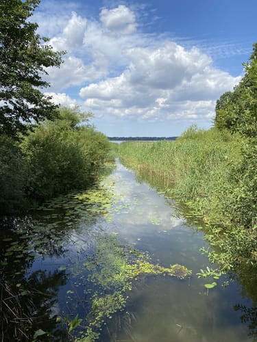 Um den Neuklostersee