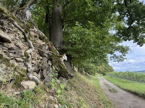 Freudental - Rotenberg - Dreiseeberg Hütte