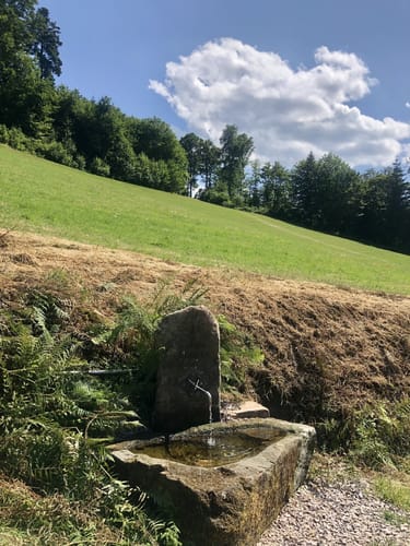 Lautenbacher Hexensteig