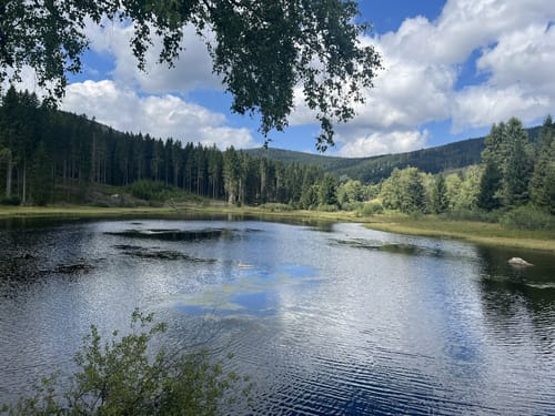 Schluchsee Rundweg