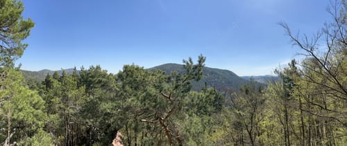 Spirkelbacher Höllenbergtour (Premiumwanderweg)