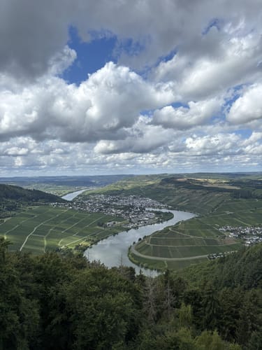 Moselsteig Etappe 7: Mehring - Leiwen