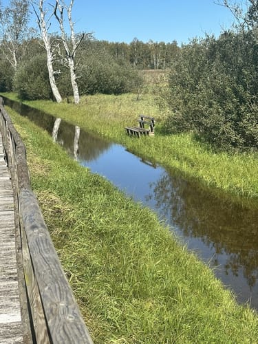 Federseerundweg
