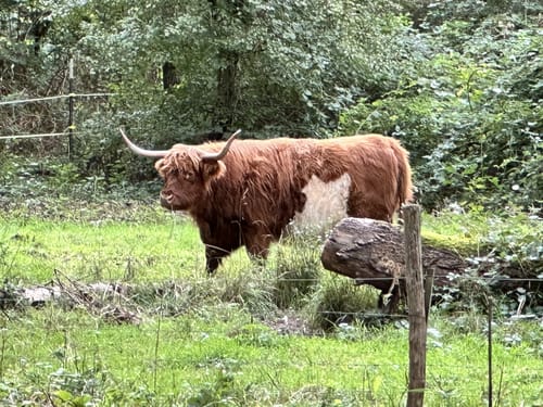 TalaueKunst Weg