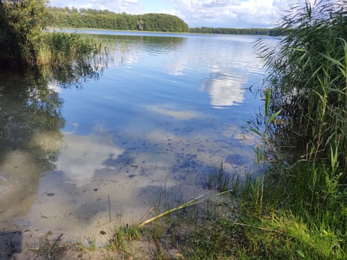 Rund um den Dranser See