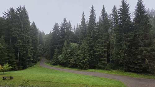 Wasserrad Paradies