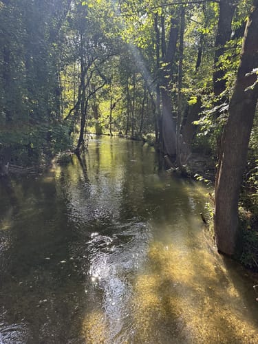 An der Isar zwischen Garching und Ismaning