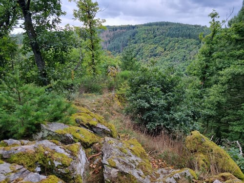 Wasser Dichter Spuren (Traumschleife )
