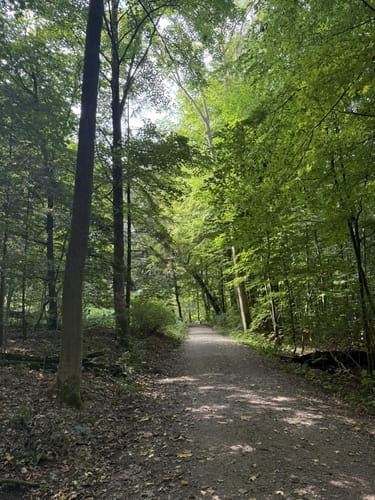 Wohldorferwald Rundweg