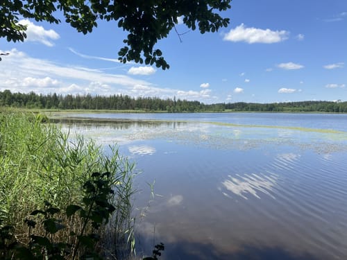 5-Seen-Wanderung um das Rotmoos