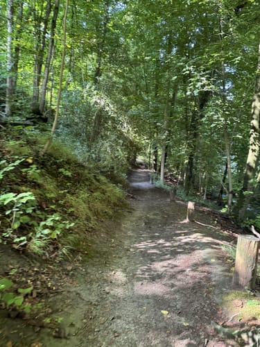 Wildgehege Neandertal nach Vohwinkel