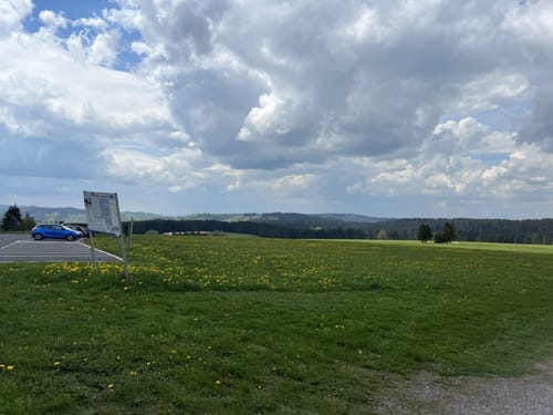 Rennsteiglauf Marathon 2016