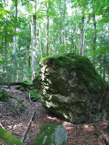Kindinger Burgenweg