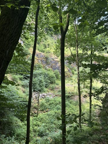 Erdbacher Karst- und Höhlenlehrpfad (Kleine Runde)