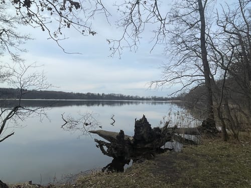Um den Großen Lienewitzsee