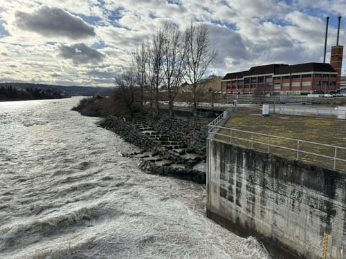 Rheinuferweg: Rheinfelden - Wasserkraftwerk