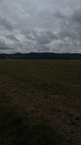 Elberadweg Etappe N: Meißen - Dresden