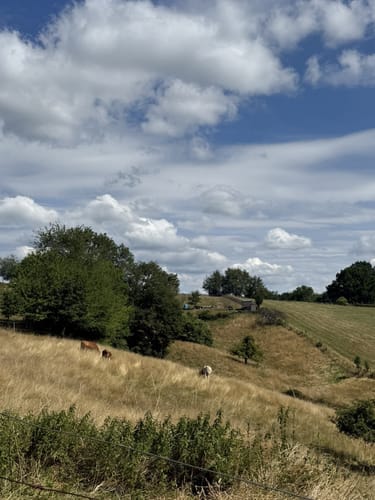 Rundwanderweg Mörlenbach 2: Breitenbach-Weg