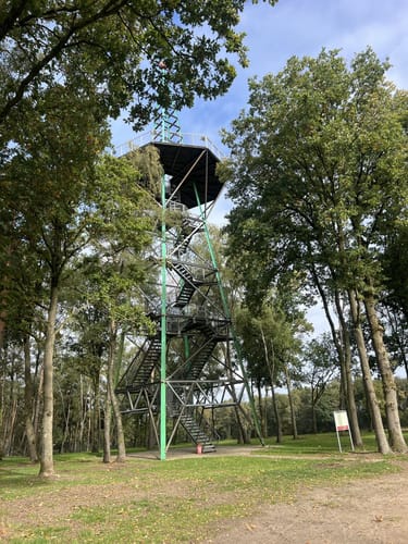 Brandtoren - Hesingen - Springendal