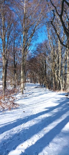 Ganskragen, Randeck, Breitenstein, Ochsenwang