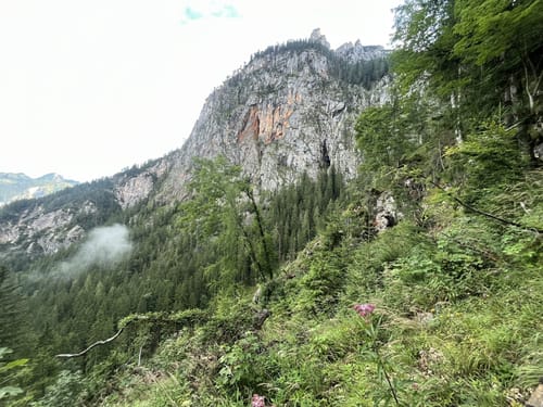 Reith - Alte Traunsteiner Hütte