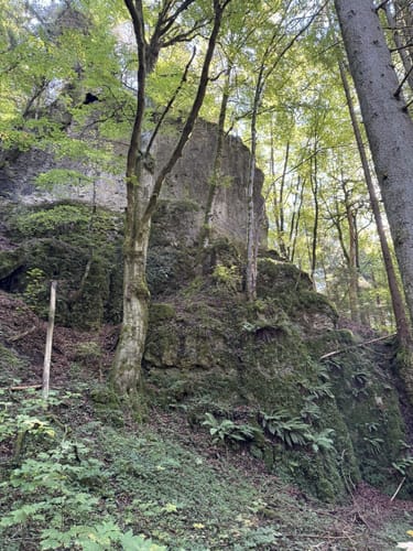 Trubachweg zur Ruine Bärnfels