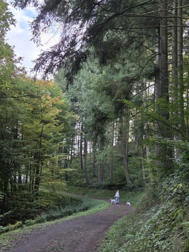 Um die Riveristalsperre