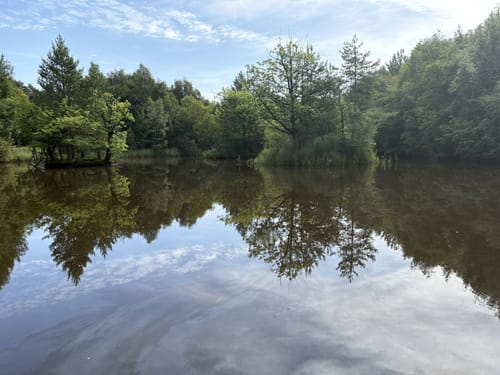 Neanderlandsteig Etappe 16: Solingen – Haan-Hülsberg