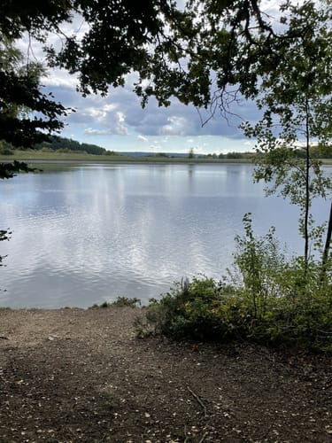 Eifelschleife Freilinger See