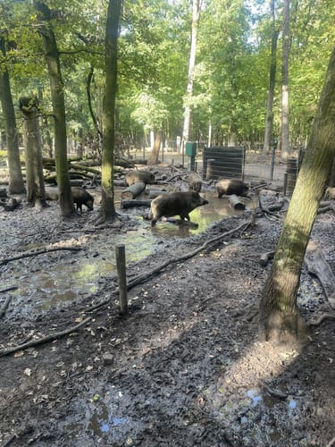Kuhlake Rundweg