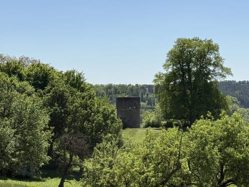 Rund um Unternibert und Sonnensee