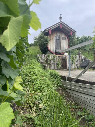Zum Unteren Fuchsfelsen im Glottertal