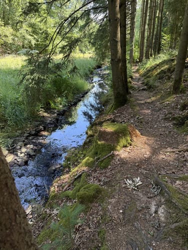 Rötelsteinpfad (Premiumwanderweg)