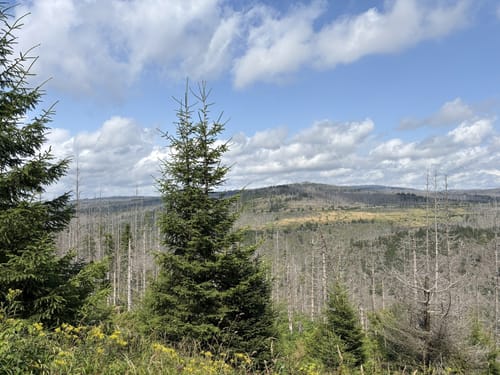 Rund um den Rehberg