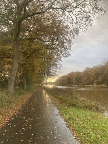 Wanderweg W14: Lathen - Oberlangen - Niederlangen