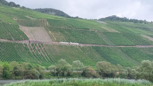 Mosel Radweg Etappe 6: Bernkastel-Kues - Traben-Trarbach