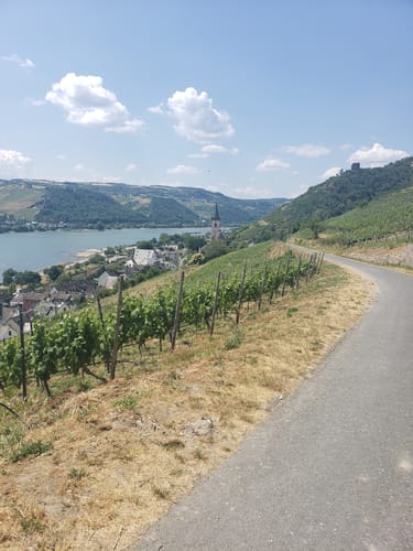 Rundwanderweg Lorch 3